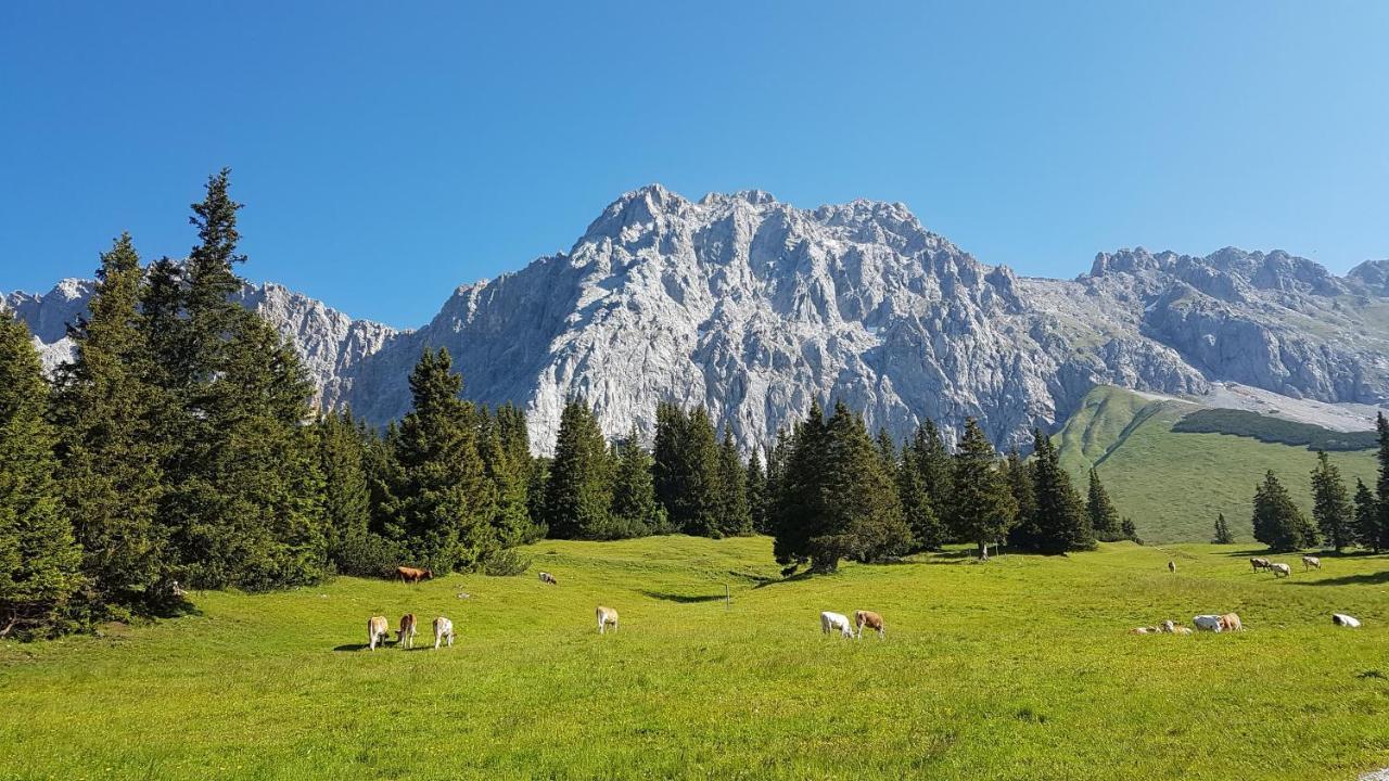 Ferienhaus Villa Alpenpanorama Ольштадт Екстер'єр фото